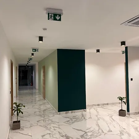 酒店 Millenium Deluxe 塞尔瑟